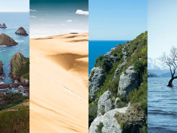 Feb Journal NZ Landscapes