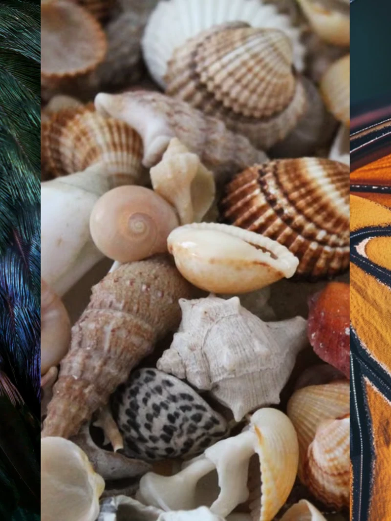 Inspired by Nature Mood Boards